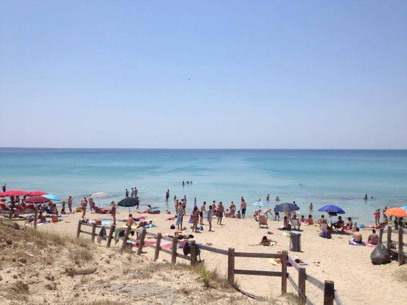 Spiaggia in baia verde